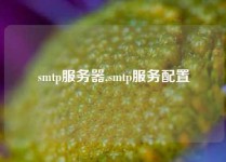 smtp服务器,smtp服务配置