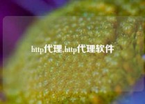 http代理,http代理软件