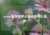 fuwuqi,服务器停止响应是什么意思?