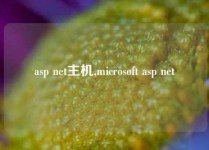 asp net主机,microsoft asp net