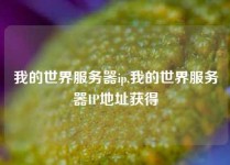 我的世界服务器ip,我的世界服务器IP地址获得