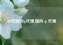 动态国内ip代理,国内 ip 代理