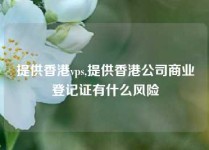 提供香港vps,提供香港公司商业登记证有什么风险