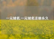 一元域名,一元域名注册永久