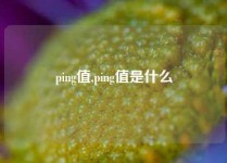 ping值,ping值是什么