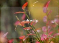 ixwebhosting