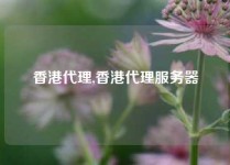 香港代理,香港代理服务器
