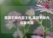 美国不限内容主机,美国不限内容服务器