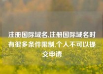 注册国际域名,注册国际域名时有很多条件限制,个人不可以提交申请