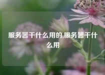 服务器干什么用的,服务器干什么用