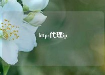https代理ip