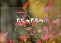 代理http,代理https