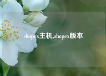 shopex主机,shopex版本