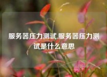 服务器压力测试,服务器压力测试是什么意思
