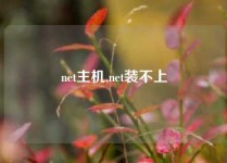 net主机,net装不上