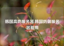 韩国高防服务器,韩国防御服务器租用