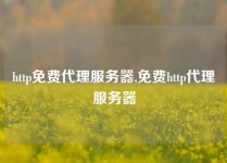http免费代理服务器,免费http代理服务器