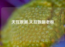 天互数据,天互数据老板