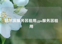 哈尔滨服务器租用,gpu服务器租用