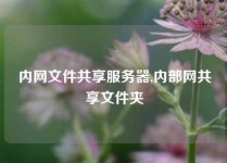内网文件共享服务器,内部网共享文件夹