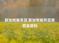 新加坡服务器,新加坡服务器需要备案吗