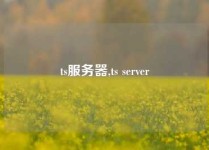 ts服务器,ts server