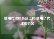 使用代理服务器上网,使用了代理服务器