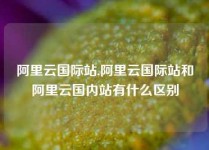 阿里云国际站,阿里云国际站和阿里云国内站有什么区别