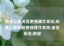 阿里云服务器更换操作系统,阿里云服务器更换操作系统(重装系统)教程