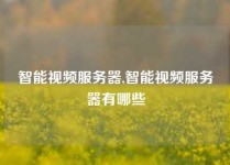 智能视频服务器,智能视频服务器有哪些
