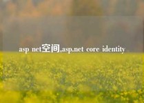 asp net空间,asp.net core identity