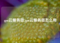 gpu云服务器,gpu云服务器怎么用
