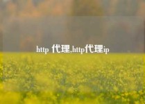 http 代理,http代理ip