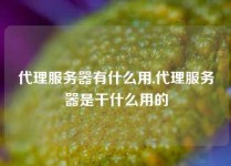 代理服务器有什么用,代理服务器是干什么用的