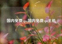 国内免费vps,国内免费vps主机