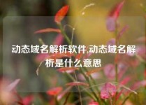动态域名解析软件,动态域名解析是什么意思