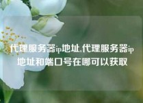 代理服务器ip地址,代理服务器ip地址和端口号在哪可以获取