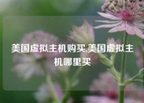 美国虚拟主机购买,美国虚拟主机哪里买
