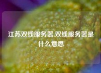 江苏双线服务器,双线服务器是什么意思