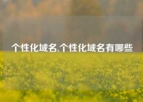 个性化域名,个性化域名有哪些