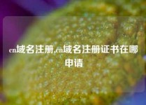 cn域名注册,cn域名注册证书在哪申请
