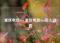 重庆电信dns,重庆电信dns怎么设置