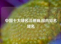 中国十大域名注册商,国内知名域名