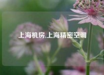上海机房,上海精密空调