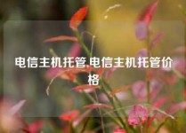 电信主机托管,电信主机托管价格