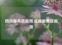 四川服务器租用,成都服务器租赁