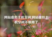 网站虚拟主机空间,网站虚拟主机空间不够用了