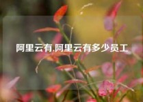 阿里云有,阿里云有多少员工