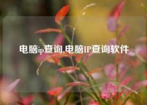 电脑ip查询,电脑IP查询软件