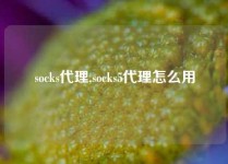 socks代理,socks5代理怎么用